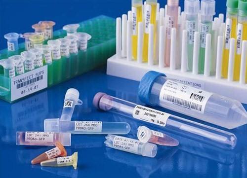 1536827638408781.jpg 醫(yī)用標(biāo)簽.jpg